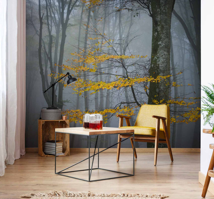 Forest in Autumn Wall Mural