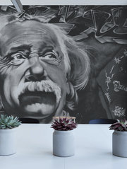 Einstein Street Art Wall Mural-Urban,Textures,Modern Graphics-Eazywallz