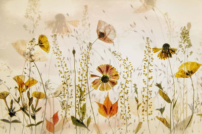 In The Field Wall Mural