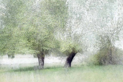 Young Green Wall Mural